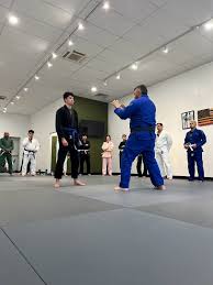 Image result for Roswell Martial Arts KA