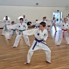 Image result for Torbay Taekwondo Schools