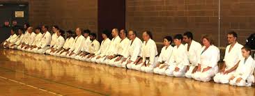 Image result for Northern Freestyle Karate Association
