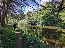 Image result for Livingston Letham Bowling Club