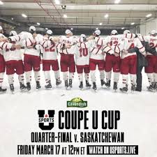 Image result for York University Hockey Club