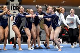Image result for York University Gymnastics Club