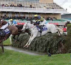 Image result for Thoroughbreds Netball Clubs