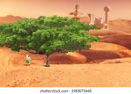 Image result for mars trees