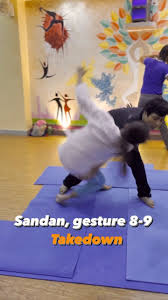 Image result for Nottingham Sankukai Karate