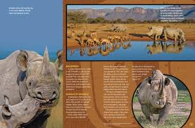 Image result for Rhyl Rhinos