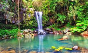 「Mt. Tamborine」的圖片搜尋結果