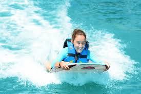 Image result for Adventure Dolphin