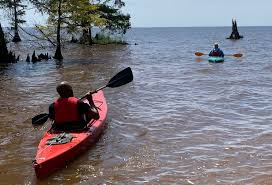 Image result for Port Of Plymouth Canoeing Association