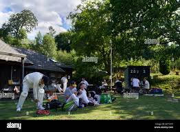 Image result for Worplesdon & Burpham Cricket Club