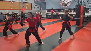 Image result for Elite Force Martial Arts