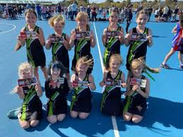 Image result for Zodiac Netball Club