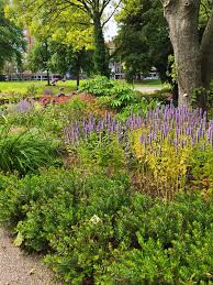 Image result for Arboretum Trompenburg