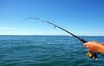 Touring pros - Angling Fish