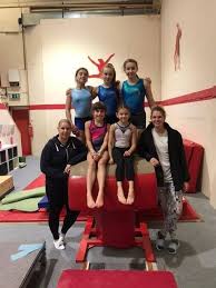 Image result for Tamworth Olympic Gymnastics Club