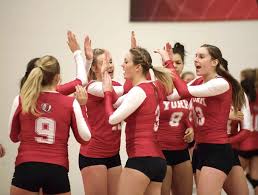 Image result for York University Volleyball Club