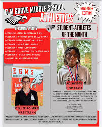 Image result for Elm Grove Football Club