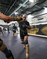 Image result for Wolverine MMA