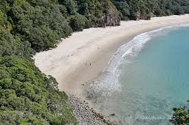Image result for new chums beach