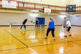 Image result for Springfields Badminton Club