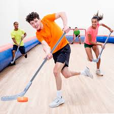 Image result for Indoor Hockey (Casual Use)