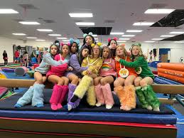 Image result for Acrobrats