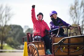 Image result for Riding For The Disabled Association