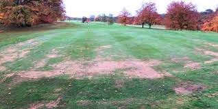 Image result for Stoke Rochford Golf Club