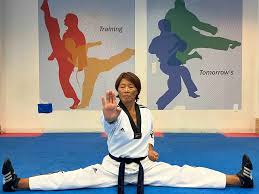 Image result for York University Taekwondo Club