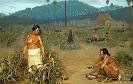 History of Illinois Agriculture Image Gallery :: Native American ...