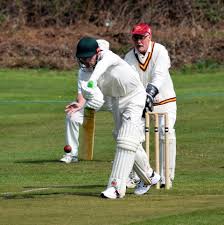 Image result for Hampole & Skelbrooke Cricket Club