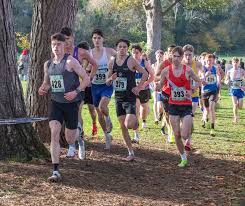 Image result for Deeside Aac