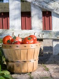Afbeeldingsresultaat voor cabin tomato