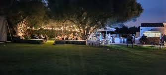 Image result for Runnymede Rascals Cricket Club