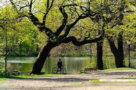 Image result for Prospect Park Beginner Jogging Sessions