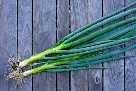 Résultat de recherche d'images pour "Allium fistulosum"