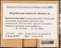 Attēlu rezultāti vaicājumam “Plagiothecium latebricola”