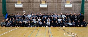 Image result for Shaolin Nam Pai Chuan Kung Fu - Manchester Martial Arts Centre