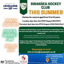 Image result for Swansea Bay Hockey Club