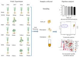 Image result for St Germans Smbc