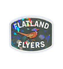 Image result for Fenland Flyers