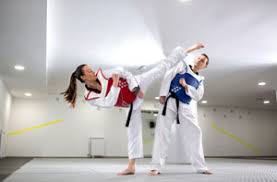 Image result for Bytomic Tae Kwon Do Windsor