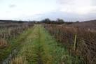 SD6905 : Track to the site of Israel's Farm. 3 km from Tyldesley, Wigan, - via Daymix