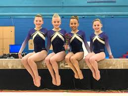 Image result for Wiltshire School Of Gymnastics