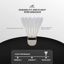 Image result for Flukey Feathers Badminton Club