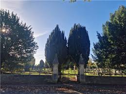 Image result for Eggborough Bowling Club