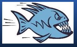 Image result for Sawston Piranhas Octopush Club