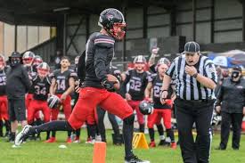 Image result for Edinburgh Wolves