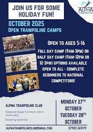 Image result for Alpha Trampoline Club