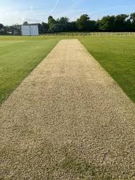 Image result for Buckhorn Weston Cricket Club